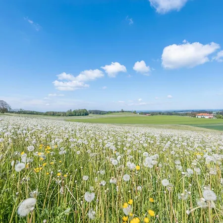 Ferienwohnung Stark Apartman
