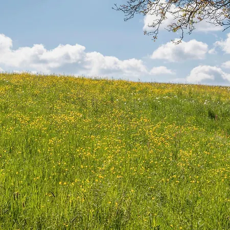 Ferienwohnung Stark * Scheßlitz